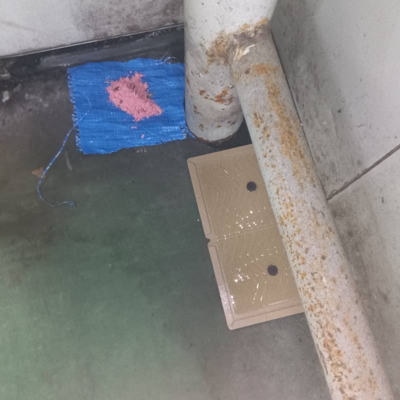 殺鼠剤を仕掛けている様子