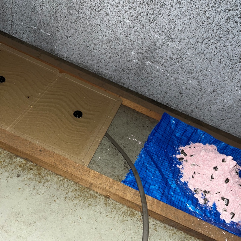 殺鼠剤を仕掛けている様子