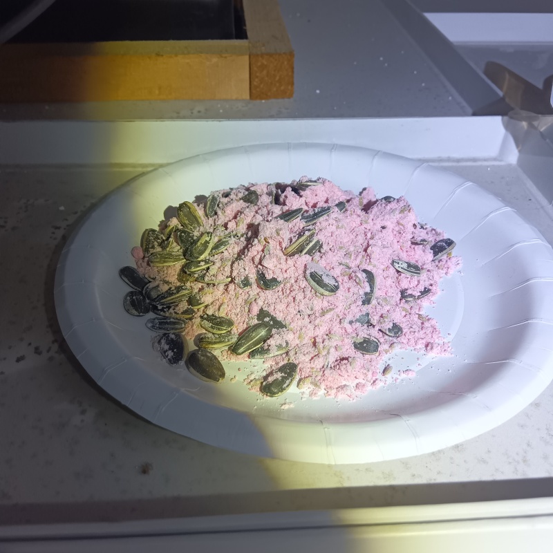 殺鼠剤を仕掛けている様子