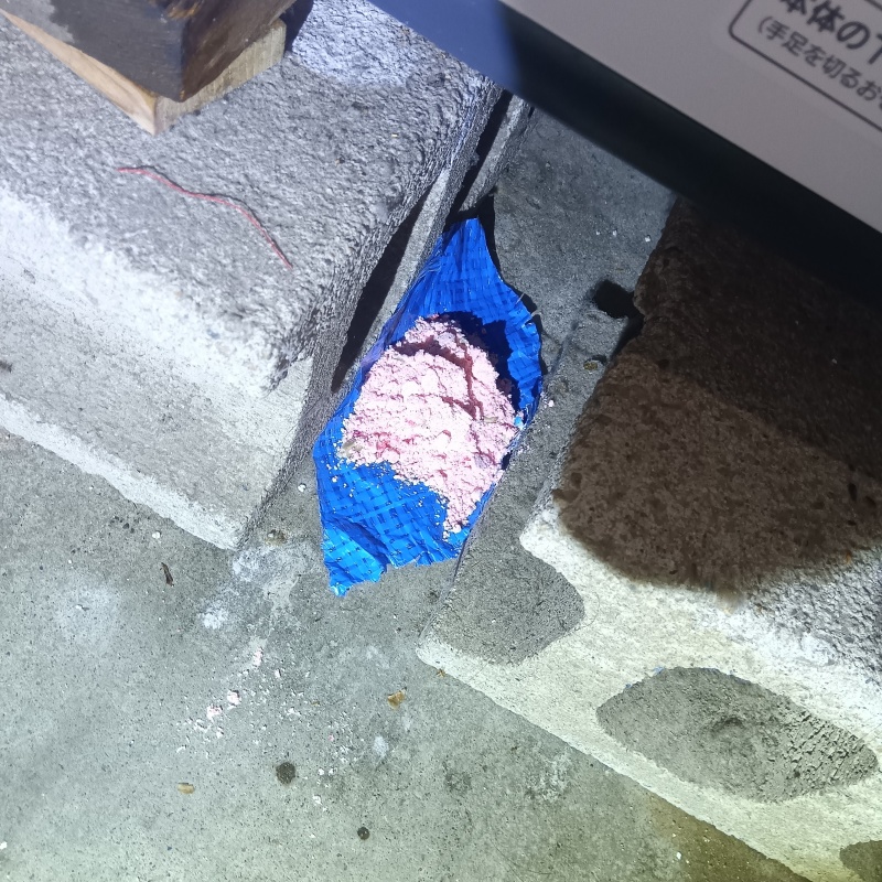 殺鼠剤を仕掛けている様子