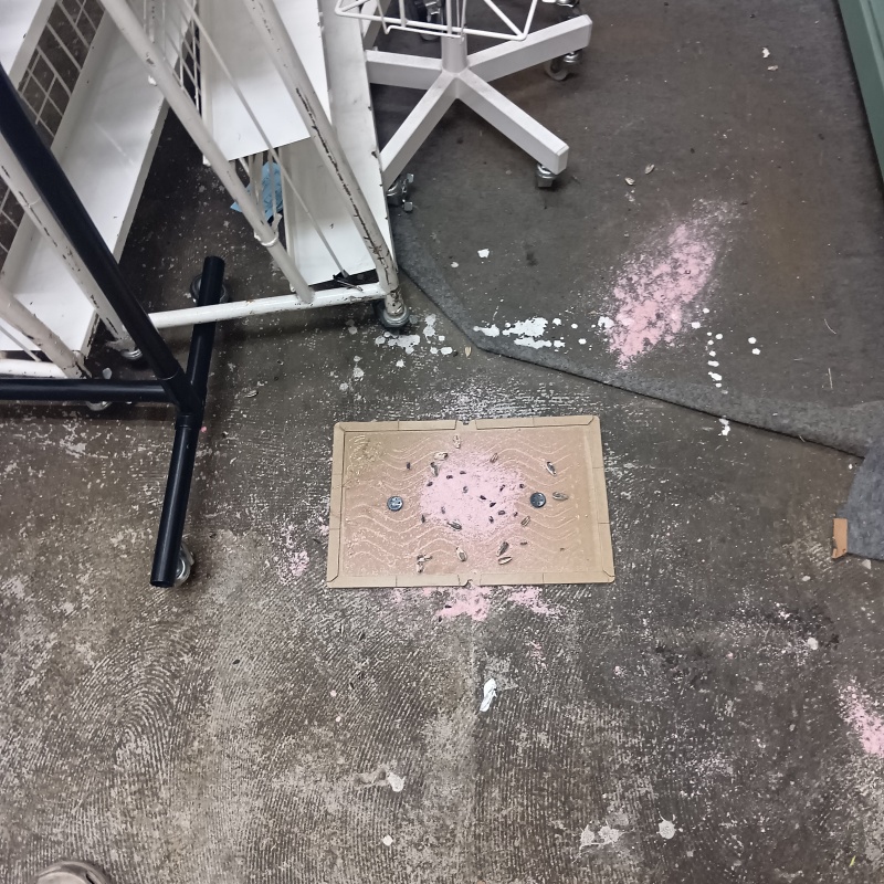 荒らされた殺鼠剤