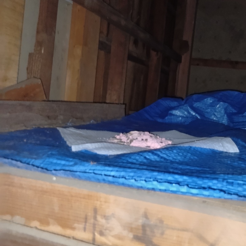 屋根裏に殺鼠剤を設置