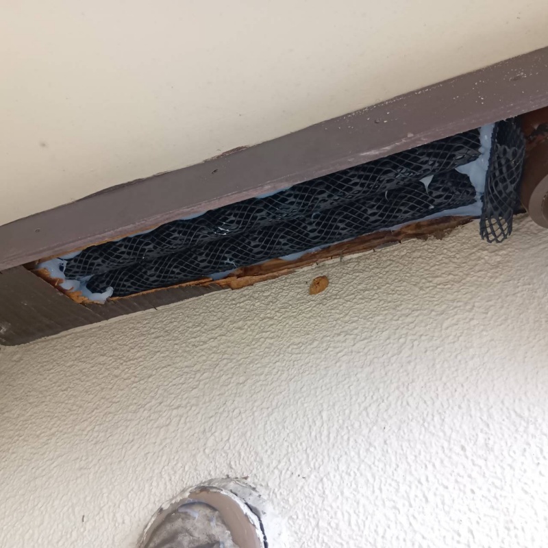 建物のすき間をネットとパテで塞ぐ