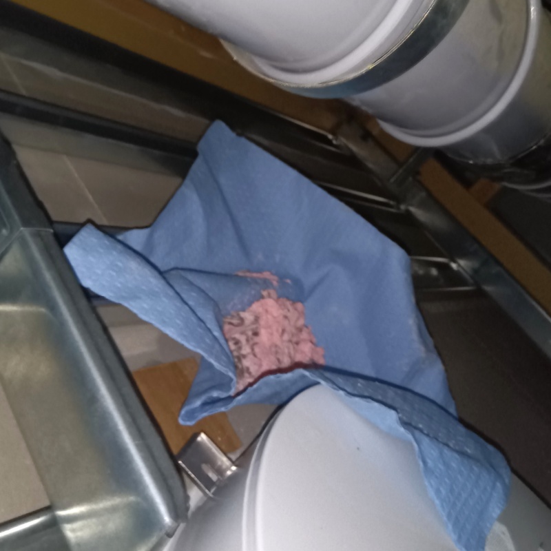 殺鼠剤を仕掛けている様子