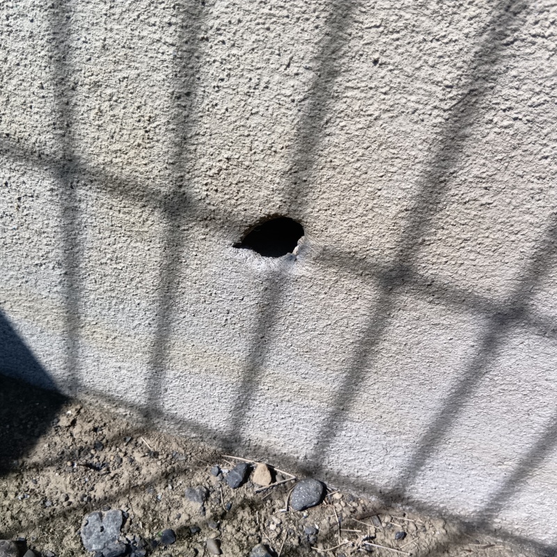 ネズミ駆除の施工事例（神奈川県藤沢市村岡東）
