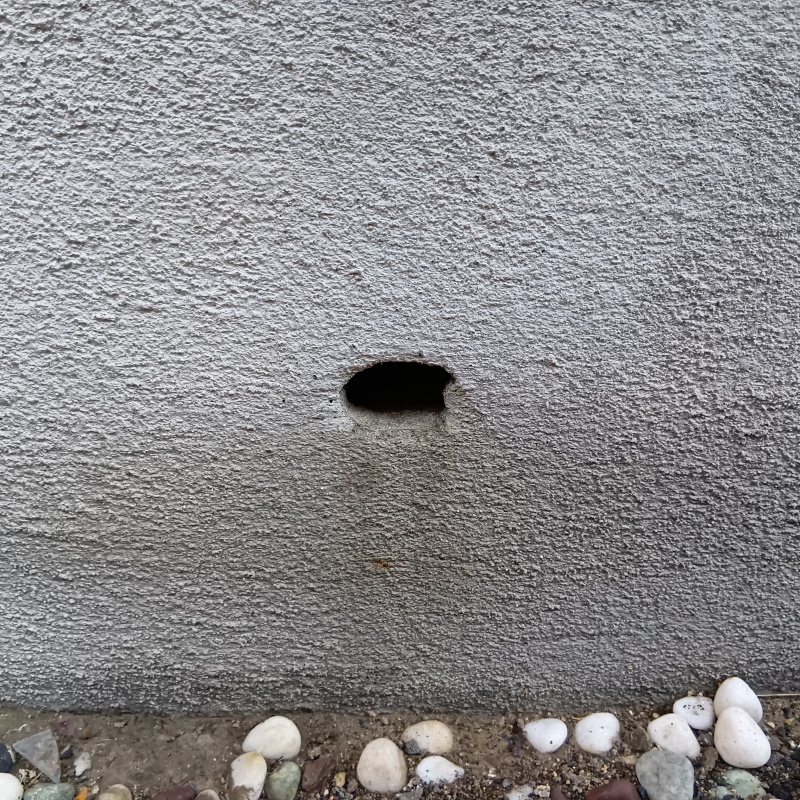 侵入口になっていた穴