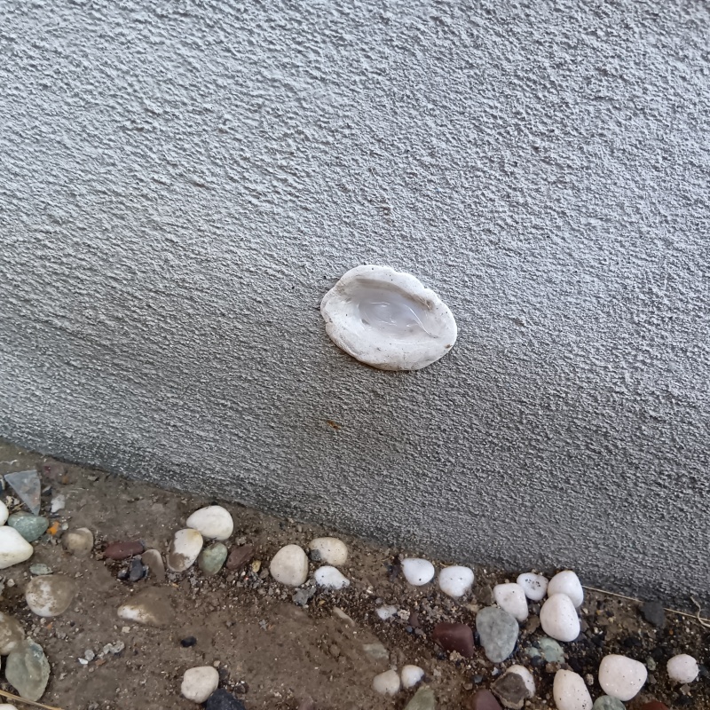 穴をパテで封鎖