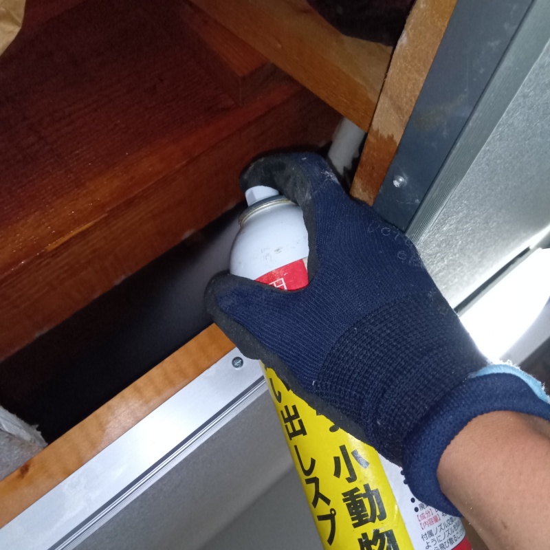天井裏に忌避剤を散布