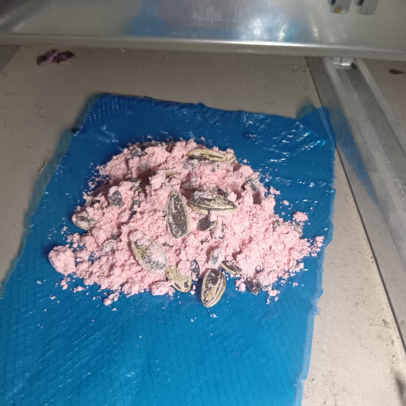 殺鼠剤を仕掛けている様子