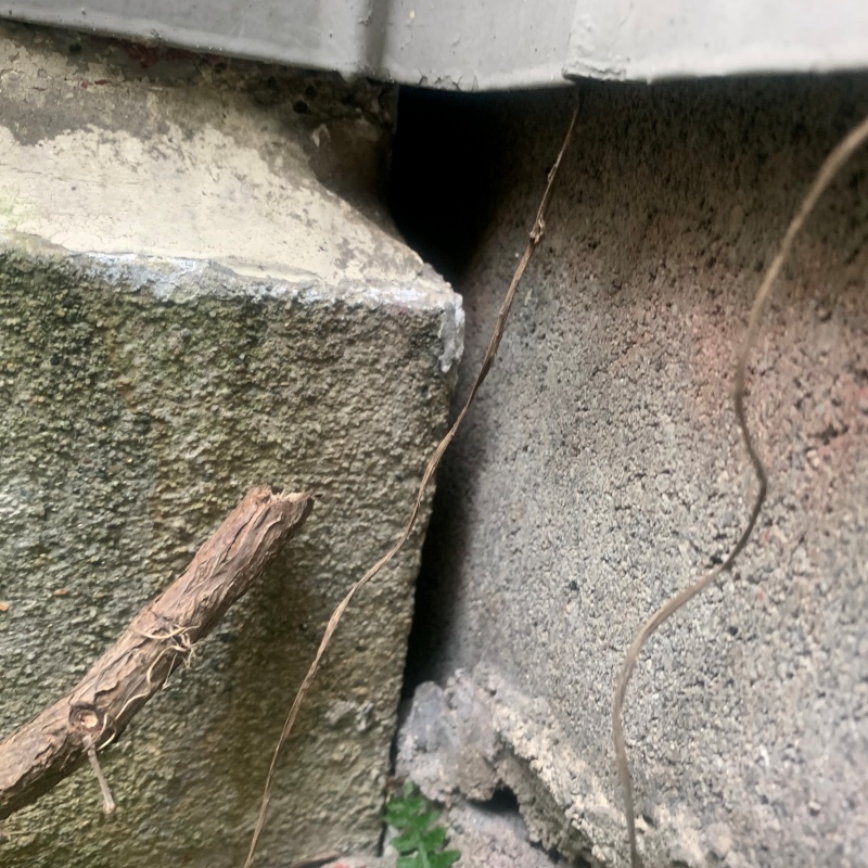 侵入口になっていたすき間