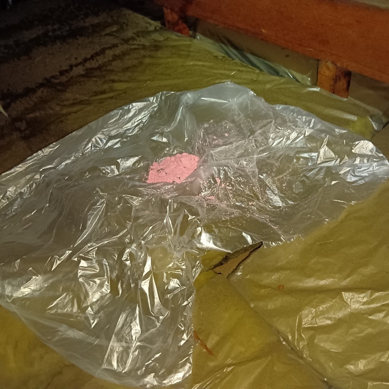 殺鼠剤を仕掛けている様子