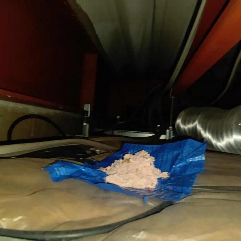 殺鼠剤を仕掛けている様子