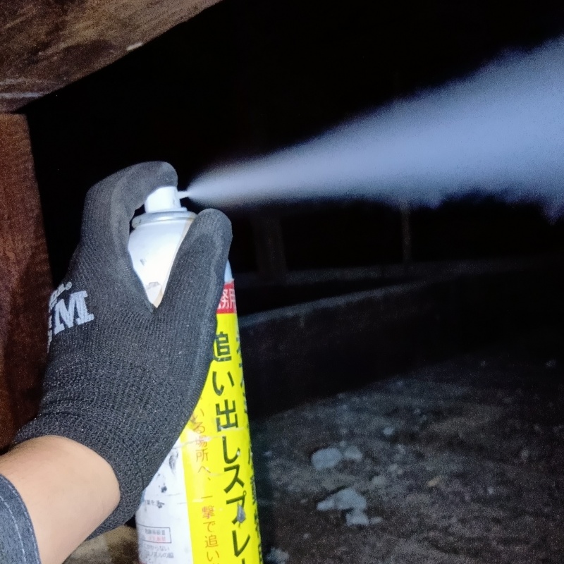 忌避剤を吹き付けている様子
