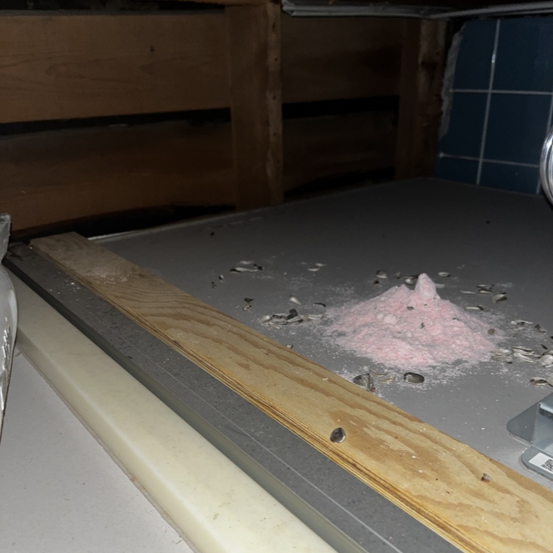殺鼠剤を仕掛けている様子