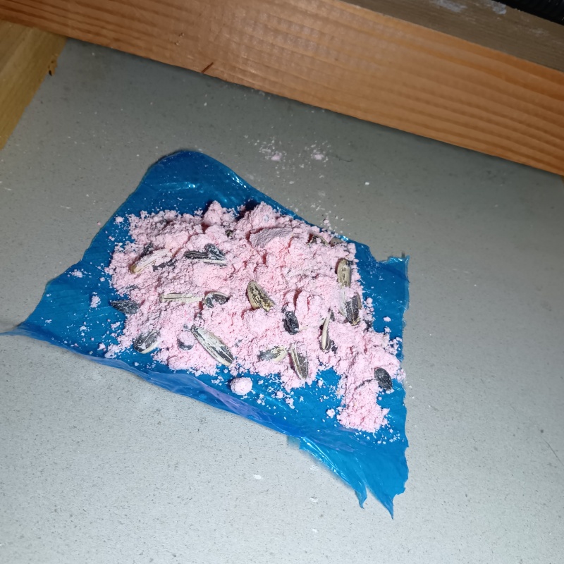 殺鼠剤を仕掛けている様子