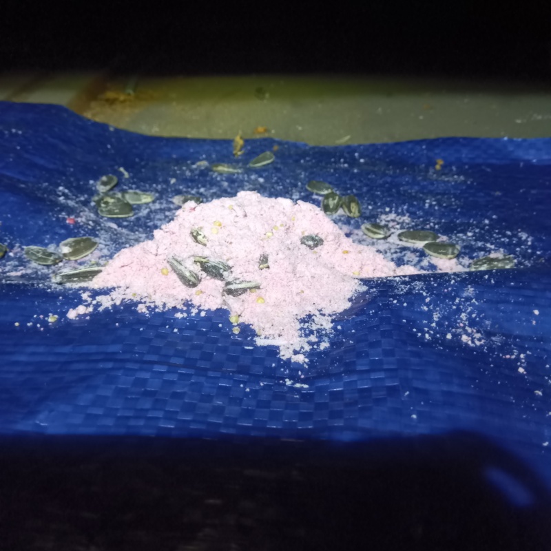 殺鼠剤を設置