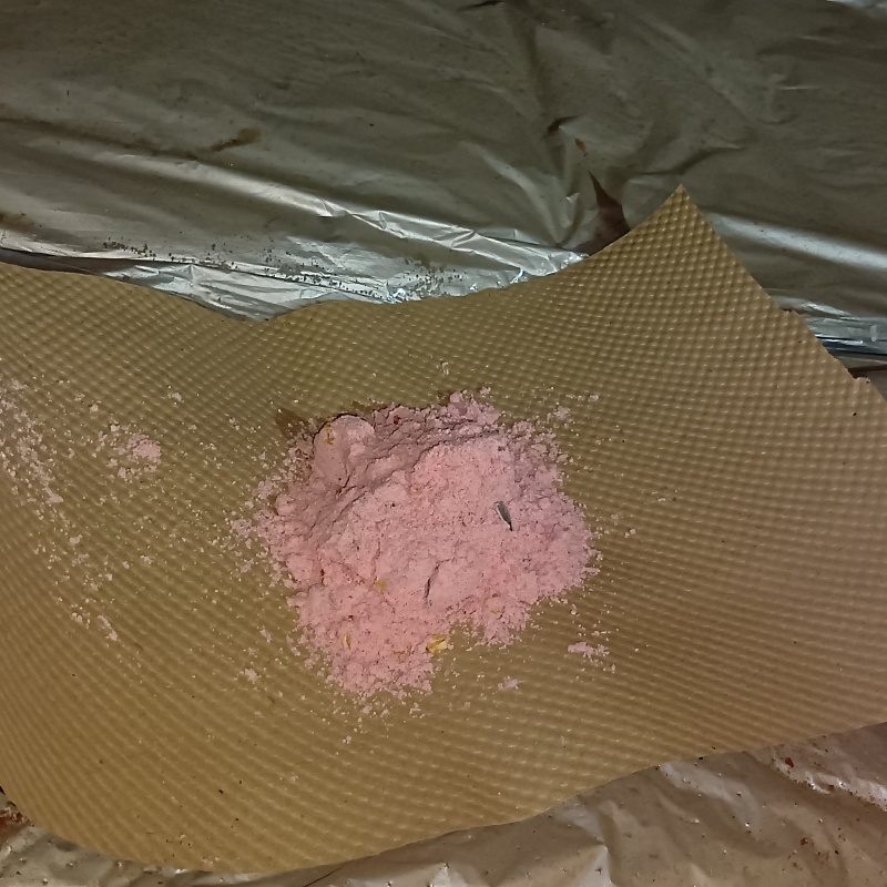殺鼠剤を設置