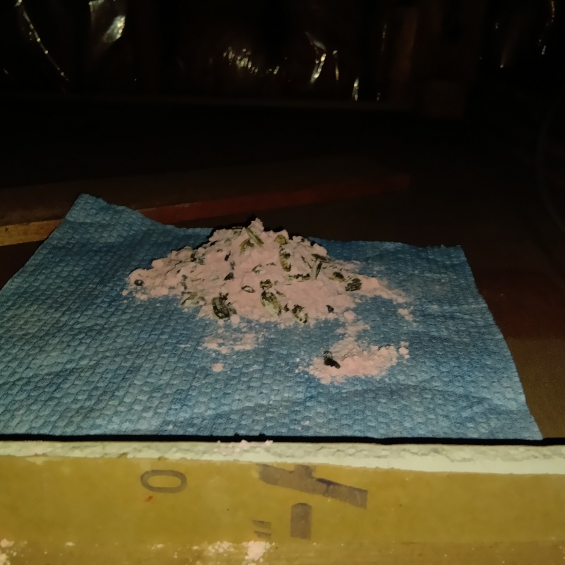 殺鼠剤を設置