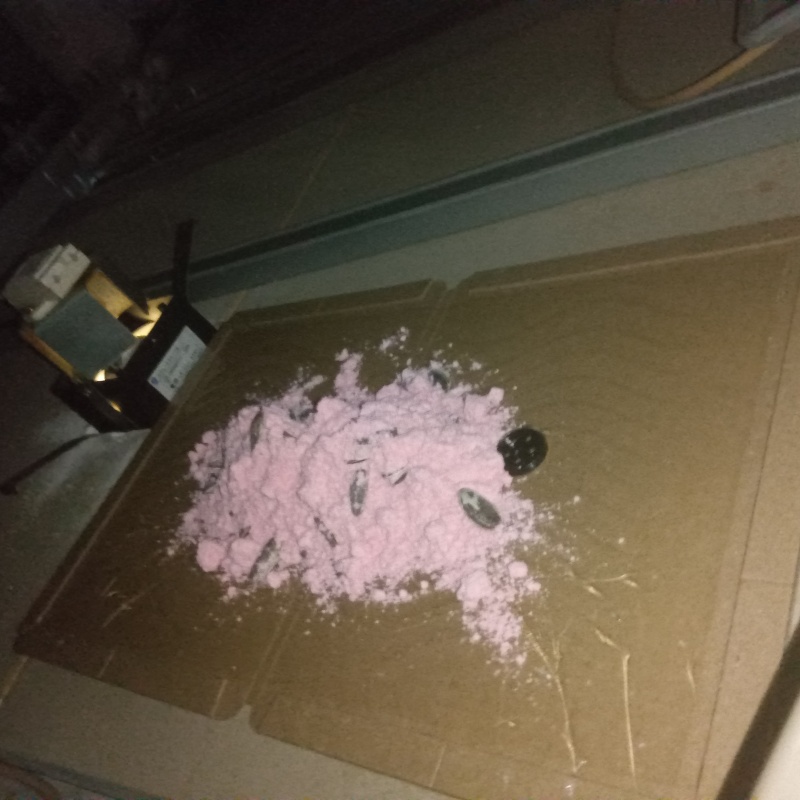 殺鼠剤を仕掛けている様子