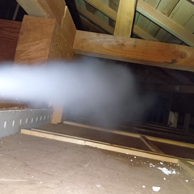 ハクビシン駆除の施工事例（静岡県伊豆市）