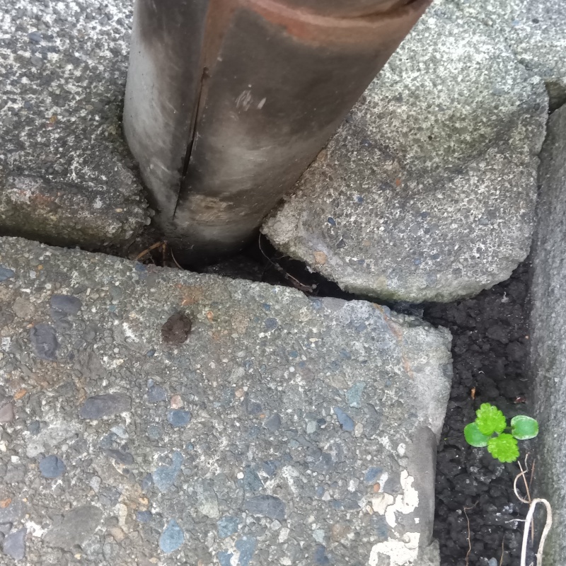 侵入口になっていたすき間