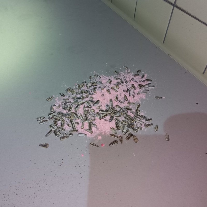 殺鼠剤を設置