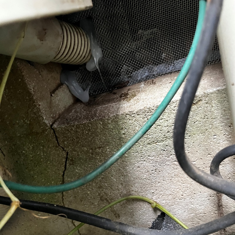 床下換気口をネットとパテで封鎖