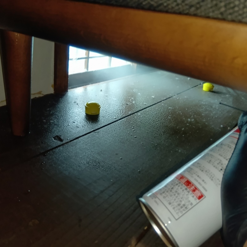 殺虫剤を吹き付けている様子