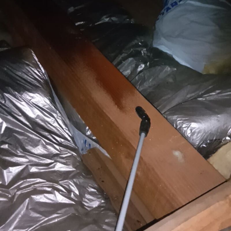 殺虫剤を散布