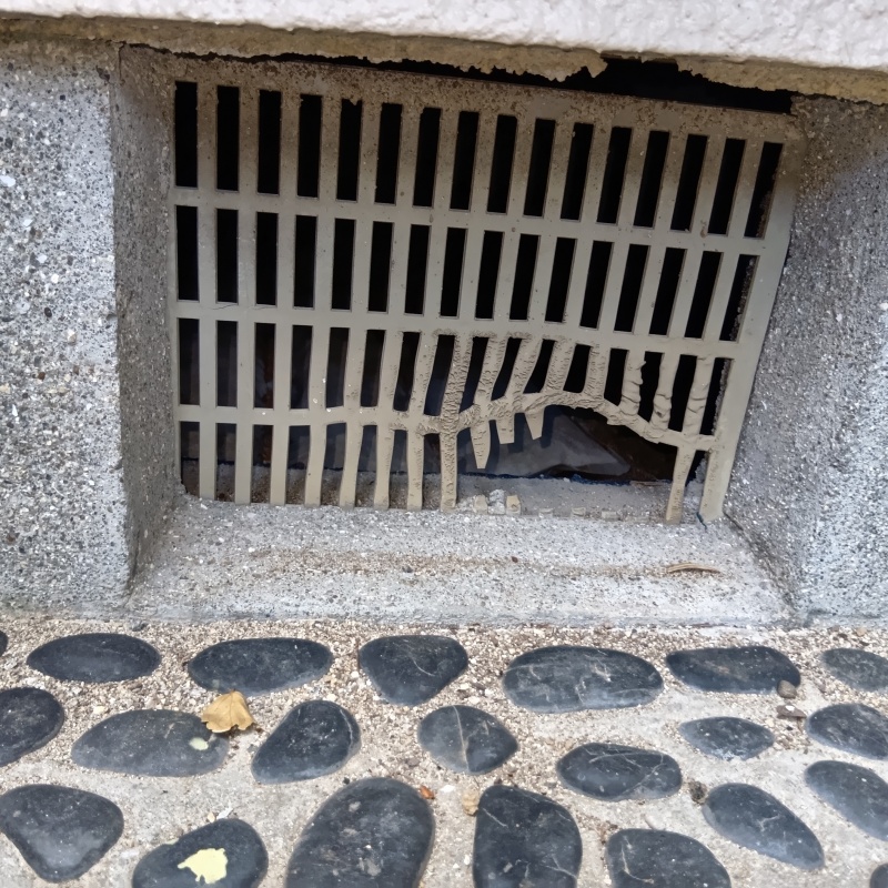 ネズミ駆除の施工事例（兵庫県宝塚市仁川台）