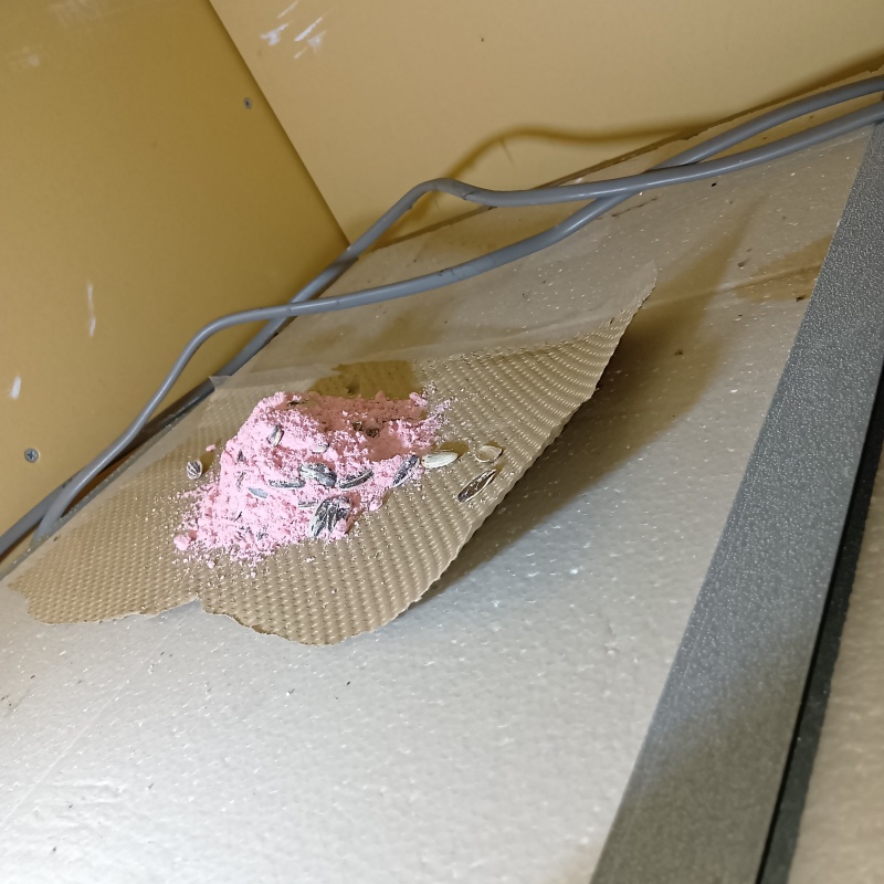 殺鼠剤を設置