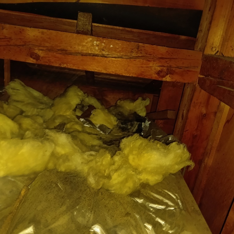 アライグマ駆除の施工事例（埼玉県北本市西高尾）