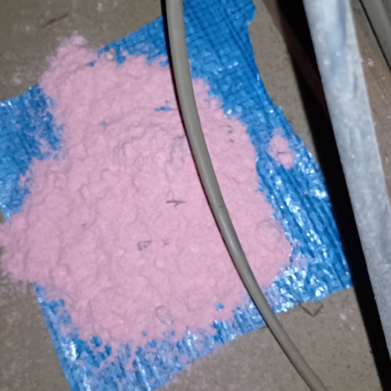 殺鼠剤を設置