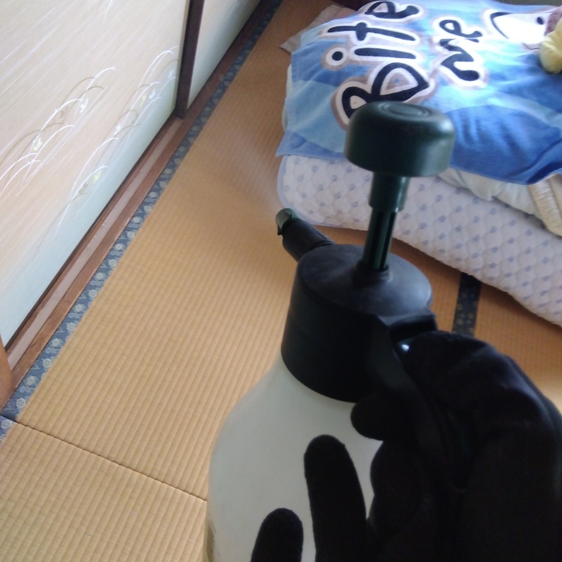 室内に殺虫剤を散布
