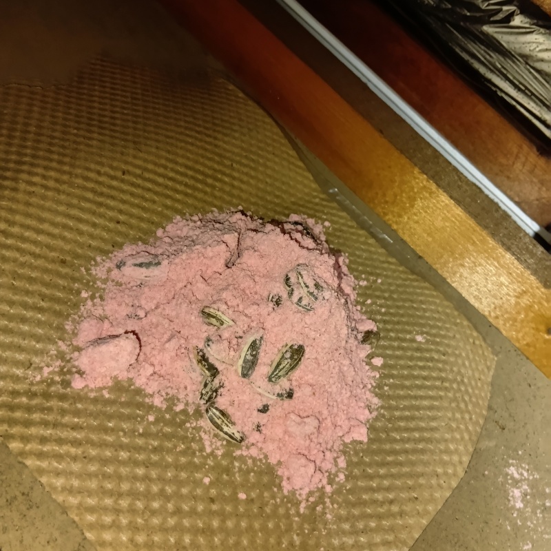 殺鼠剤を設置