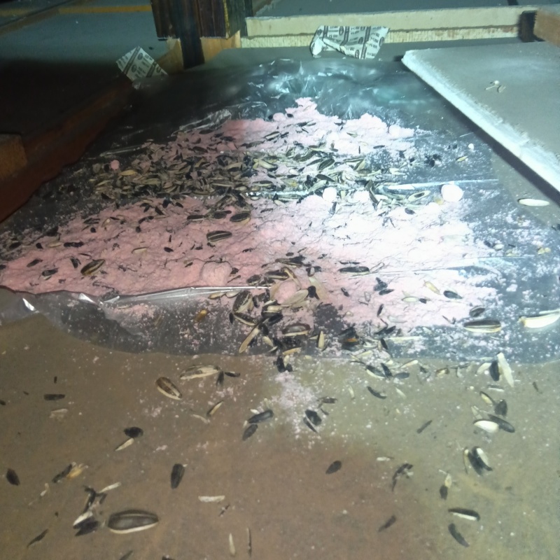 荒らされた殺鼠剤
