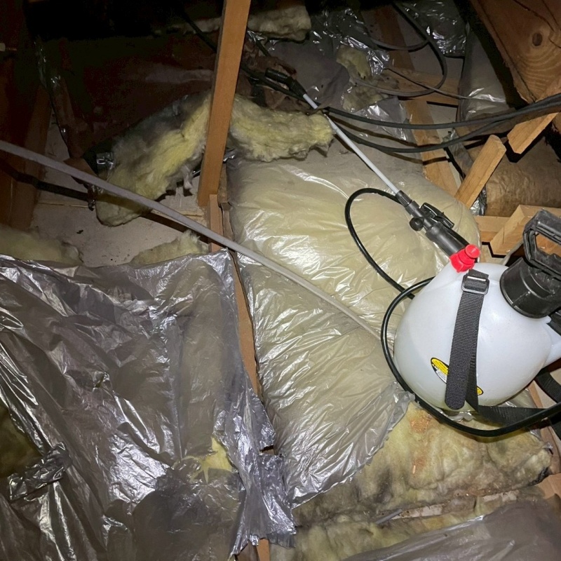 屋根裏に殺虫剤をスプレー