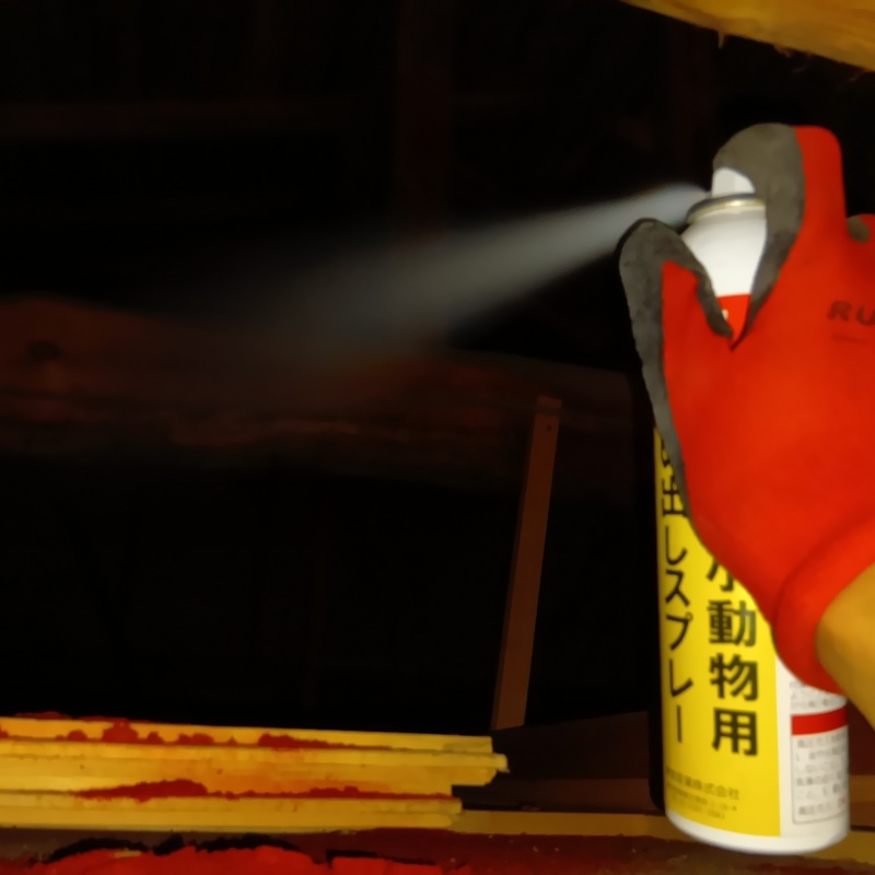 屋根裏に忌避剤をスプレー
