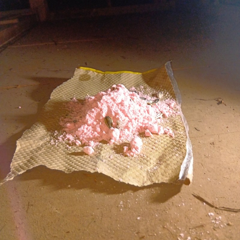 屋根裏に殺鼠剤を設置