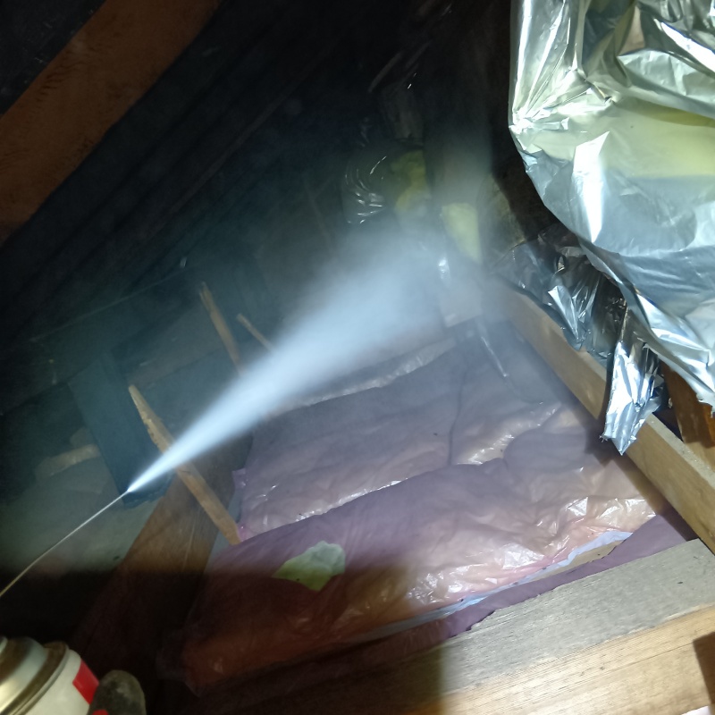 殺虫剤をスプレー