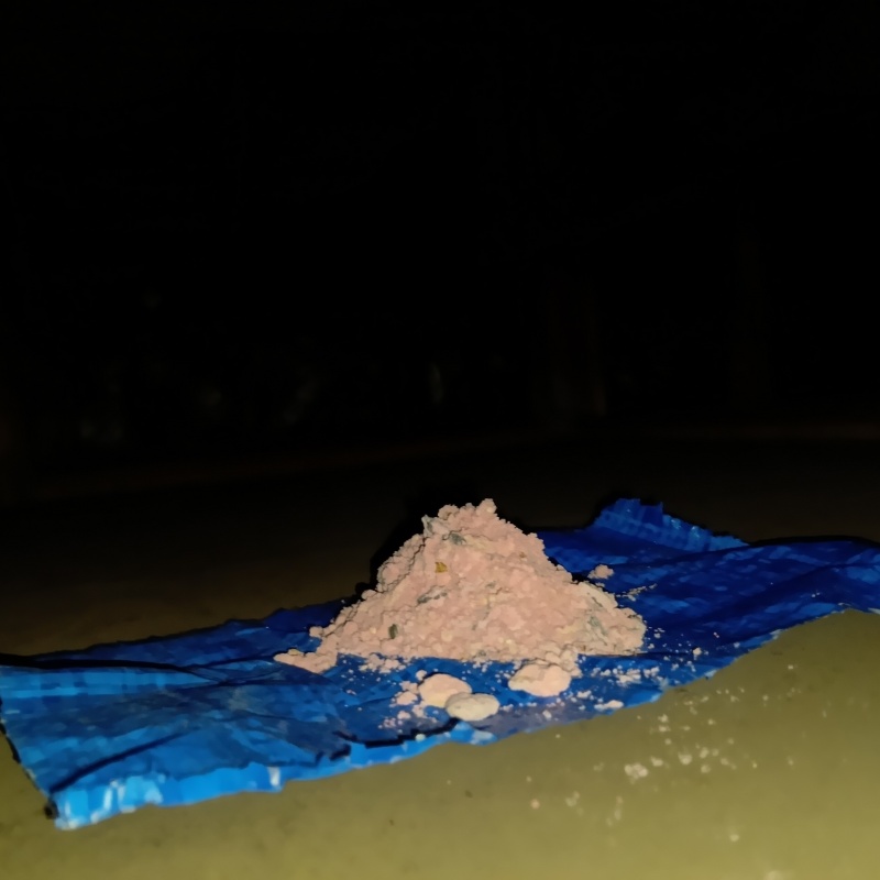 殺鼠剤を仕掛けている様子