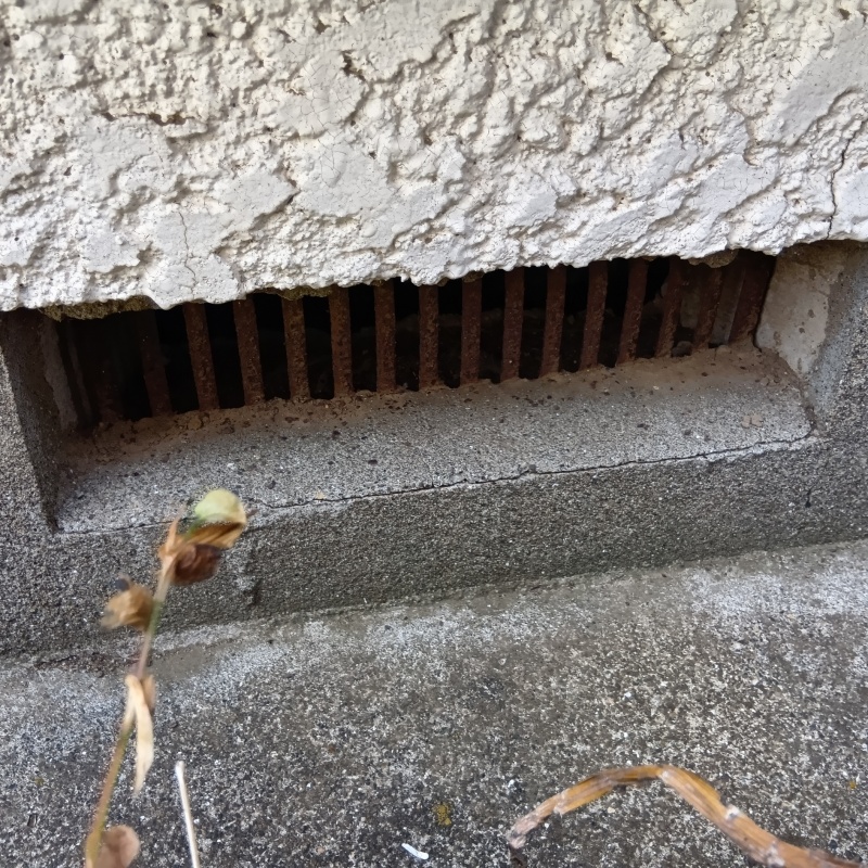 侵入口になっていた床下換気口