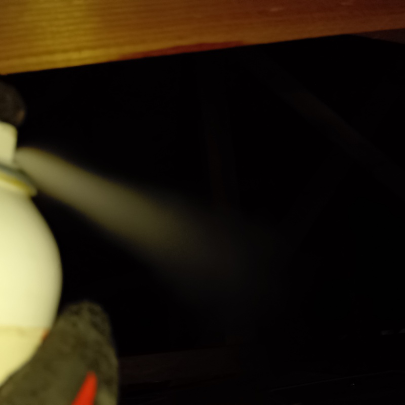 忌避剤を吹き付けている様子