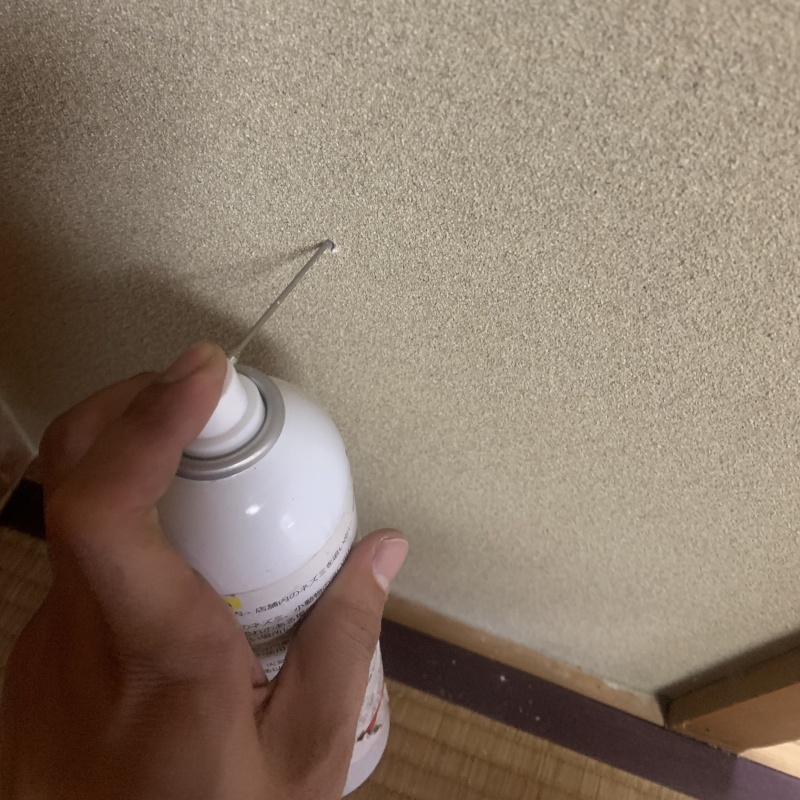 壁の中に忌避剤をスプレー