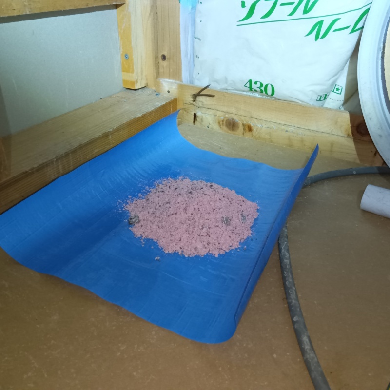 殺鼠剤を仕掛けている様子