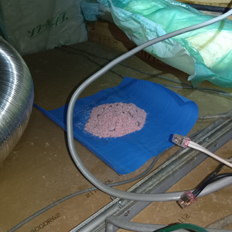 天井裏に殺鼠剤を設置