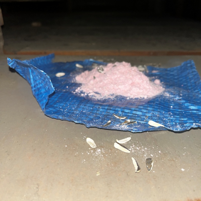 殺鼠剤を仕掛けている様子