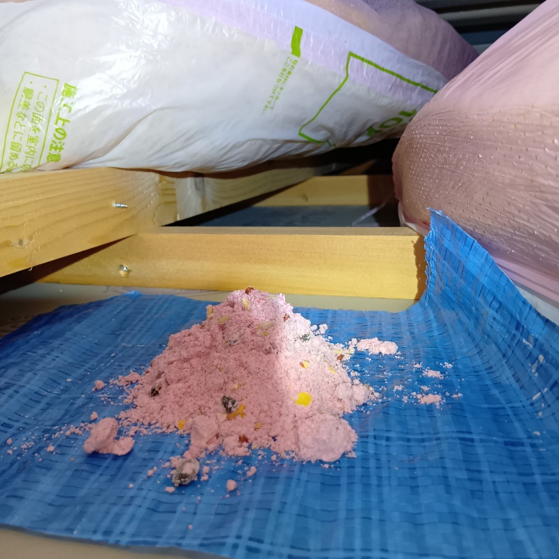 殺鼠剤を仕掛けている様子