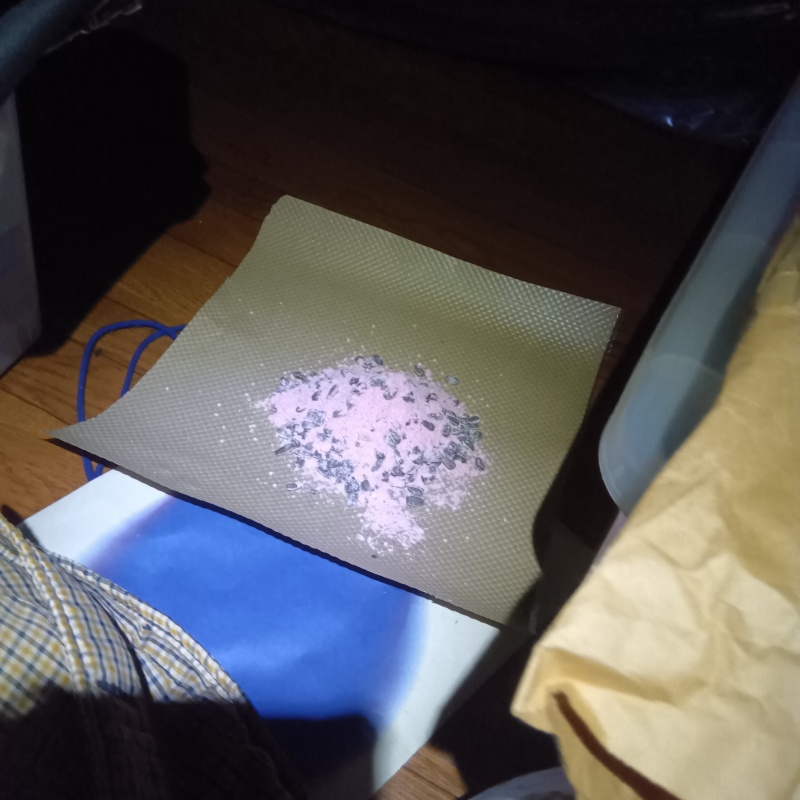 殺鼠剤を仕掛けている様子