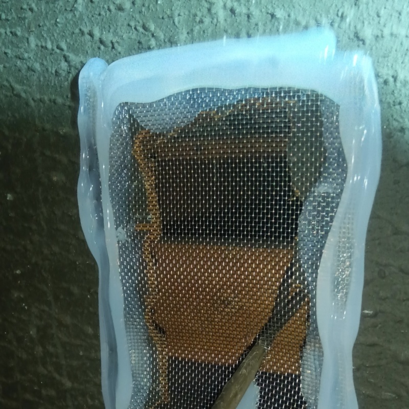 金網で侵入経路を封鎖